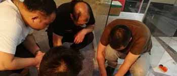 你見過如此認真對待工作的南寧裝飾公司師傅們嗎? 你見過如此認真對待工作的南寧裝飾公司師傅們嗎?