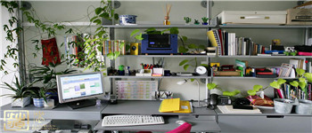 南寧辦公室裝修巧用植物增加活力 南寧辦公室裝修巧用植物增加活力