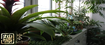 南寧裝修公司教你怎樣去除裝修后的異味 南寧裝修公司教你怎樣去除裝修后的異味