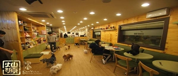 與寵物相結合的南寧咖啡廳設計 與寵物相結合的南寧咖啡廳設計