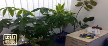 能讓員工感覺溫馨的辦公室裝修性價(jià)比裝飾 能讓員工感覺溫馨的辦公室裝修性價(jià)比裝飾