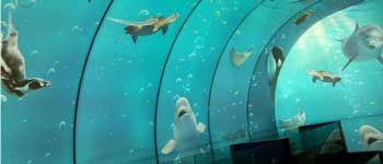 辦公室裝修可以任性到什么程度 你見過海底和空中的辦公室嗎？