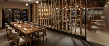 充滿生命力的創意餐廳設計案例 香港根須創意餐廳設計